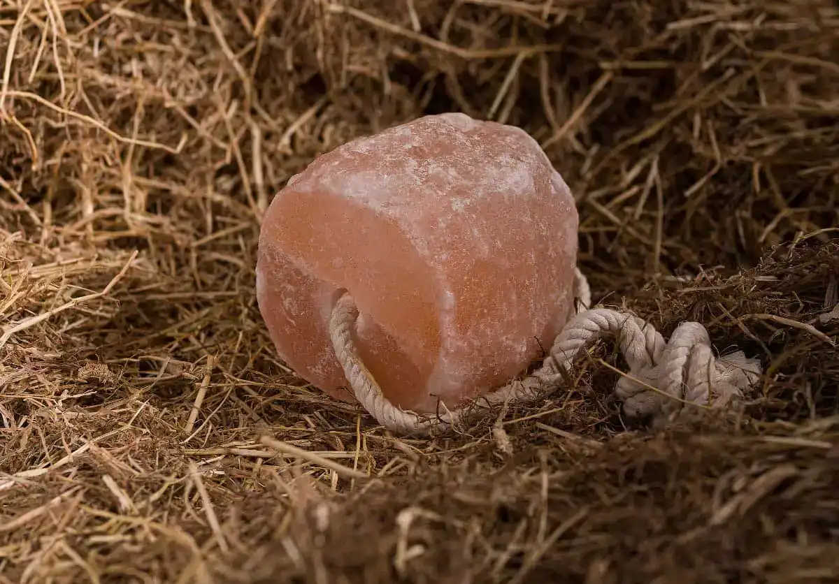 Himalayan Salt Licks for Animal Care: Providing Essential Minerals and Health Benefits
